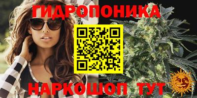 гашик Абинск