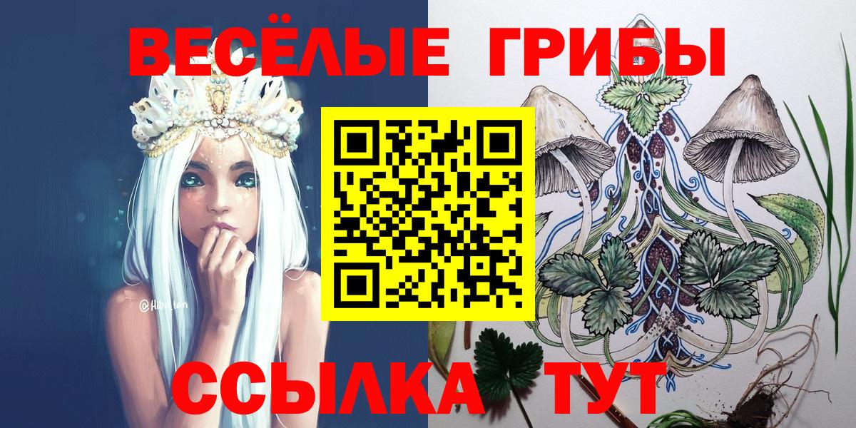 Азнакаево  Псилоцибиновые грибы GOLDEN TEACHER  Вход с VPN 