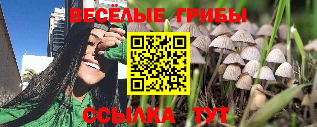 Псилоцибиновые грибы Cubensis Азнакаево