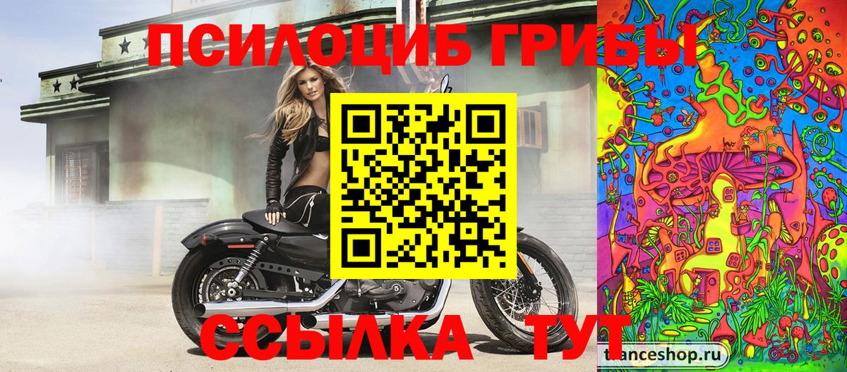 Псилоцибиновые грибы Psilocybe Азнакаево